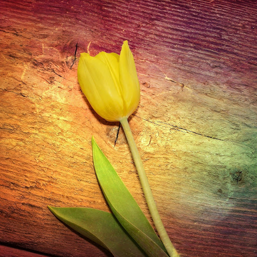 Hd-183781-ascw183781