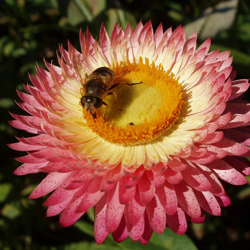 Hd-180388-ascw180388