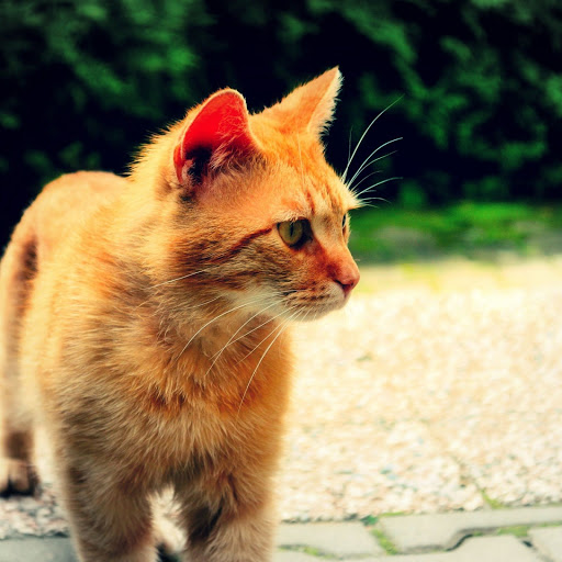 Hd-143813-ascw143813