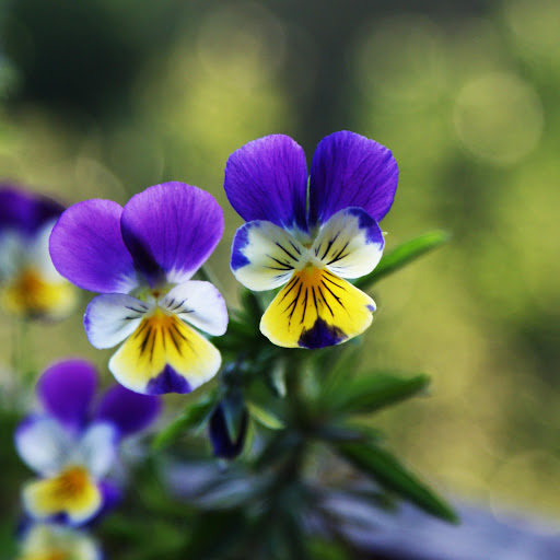 Hd-156738-ascw156738