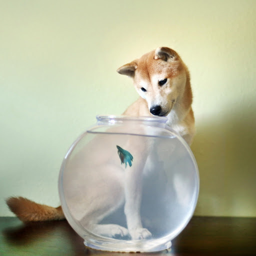 Hd-180677-ascw180677