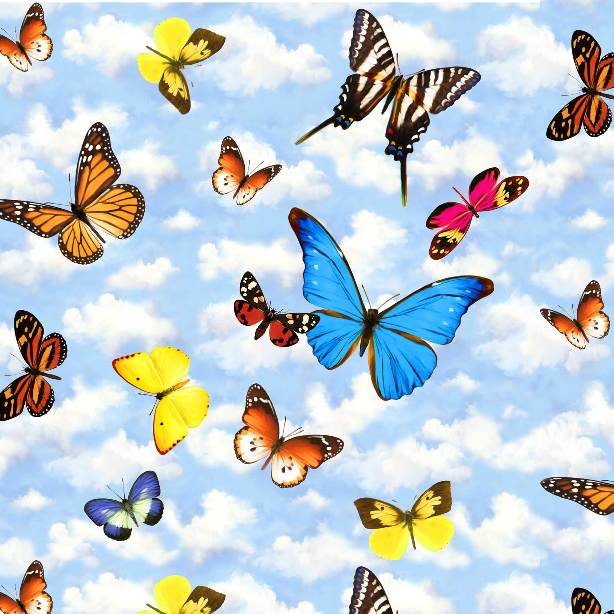 Бабочки летают вокруг. Много бабочек. Много красивых бабочек. Бабочки летают. Несколько бабочек.