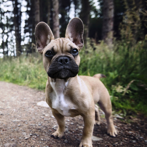 Hd-152341-ascw152341