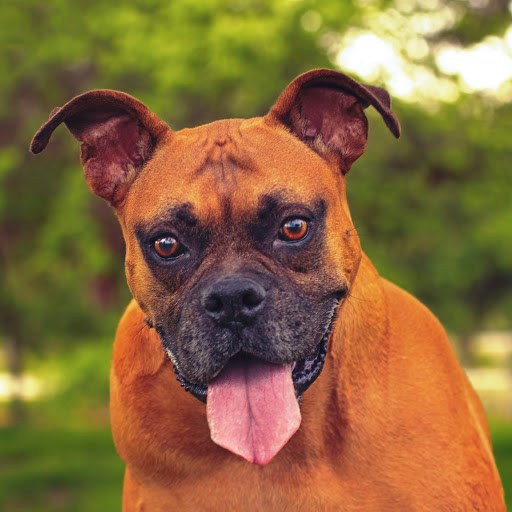 Hd-148403-ascw148403