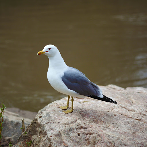 Hd-152804-ascw152804