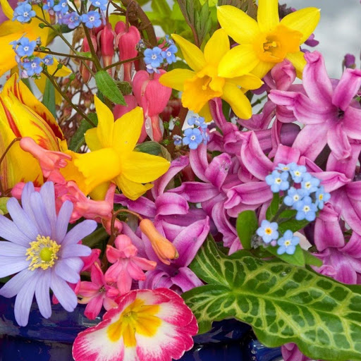 Hd-138075-ascw138075