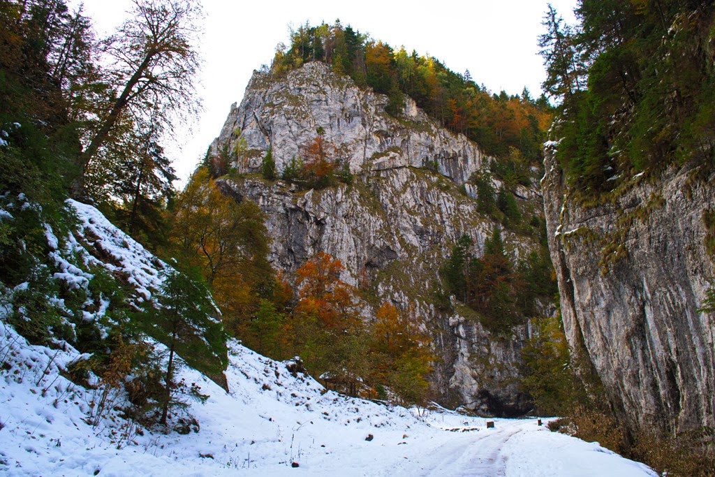 [DSC_0547%255B8%255D.jpg]
