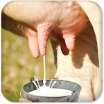 Cover Image of ダウンロード Milk Cow Game 3.2 APK