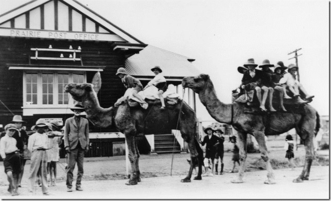 StateLibQld_2_189099_Basha_Gould_and_his_camels_with_children_from_the_Prairie_area,_1932