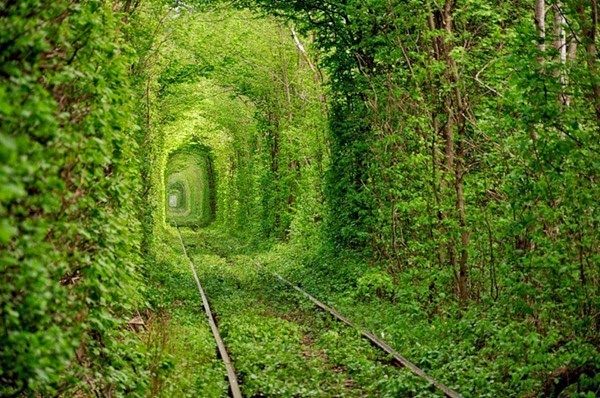 tunnel-of-love-2[2]