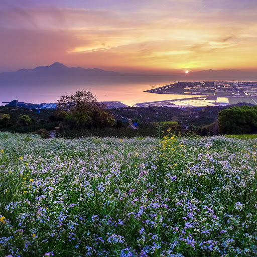 Hd-152531-ascw152531