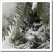 20120113_snow-day-outside_012