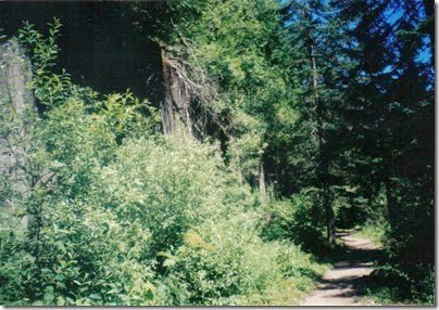 Concrete Snowshed Wall near Milepost 1712 on the Iron Goat Trail in 2000