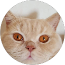 Image Google de fabienne Vinter