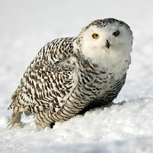 Hd-177836-ascw177836