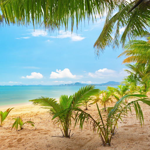 Hd-154013-ascw154013