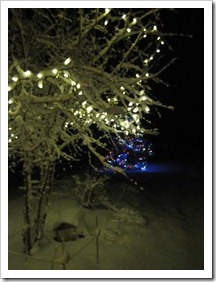 20120224_snow-lights-snowman_007
