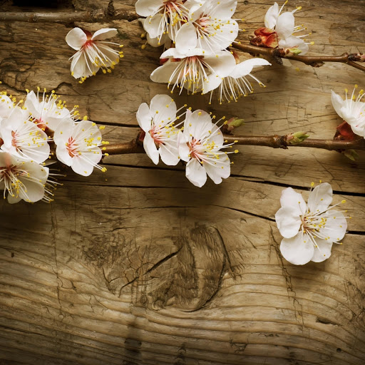 Hd-165806-ascw165806