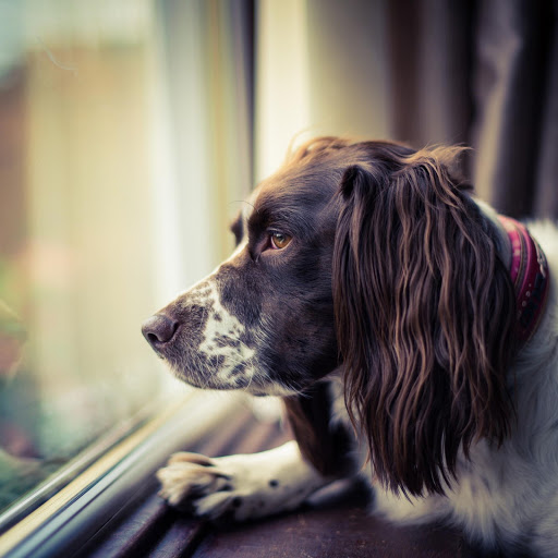 Hd-134689-ascw134689