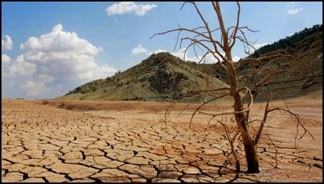 Día mundial de lucha contra la desertificación y la sequía