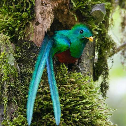 Hd-179918-ascw179918