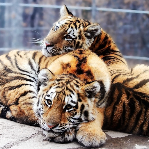 Hd-180360-ascw180360