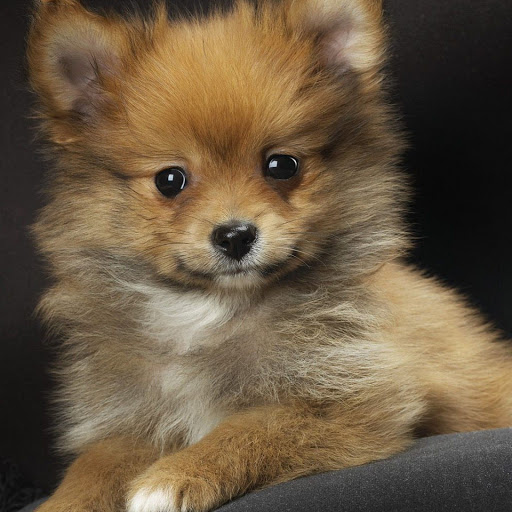 Hd-151342-ascw151342