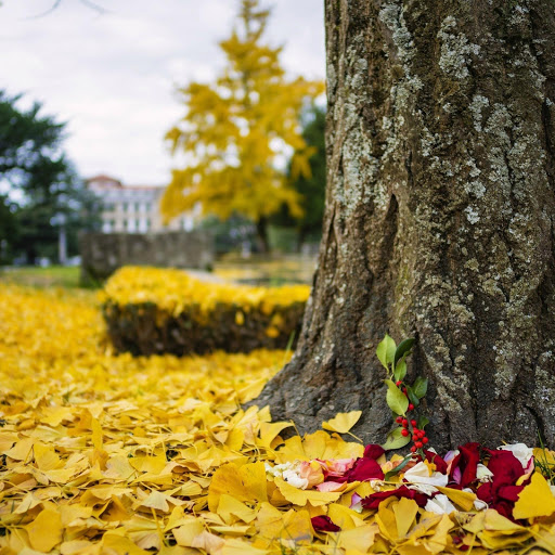 Hd-167017-ascw167017