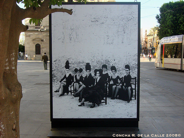 Afanador-9.jpg
