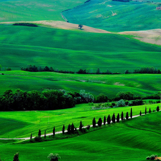 Hd-184403-ascw184403