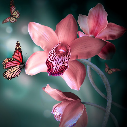 Hd-135713-ascw135713