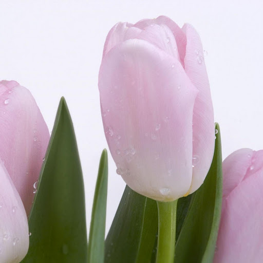 Hd-171444-ascw171444