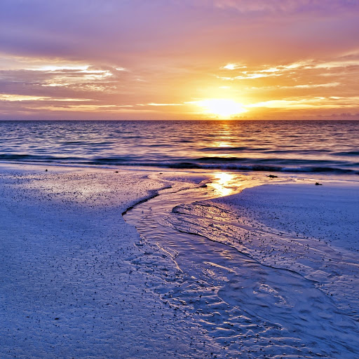 Hd-131449-ascw131449