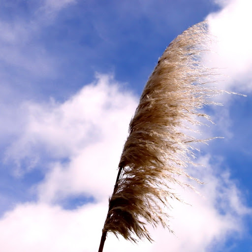 Hd-131290-ascw131290