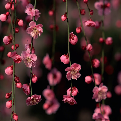 Hd-152906-ascw152906