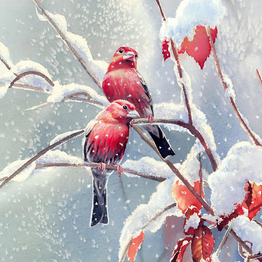 Hd-174084-ascw174084