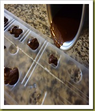 Cioccolatini fondenti con zucchero di canna picaflor (1)