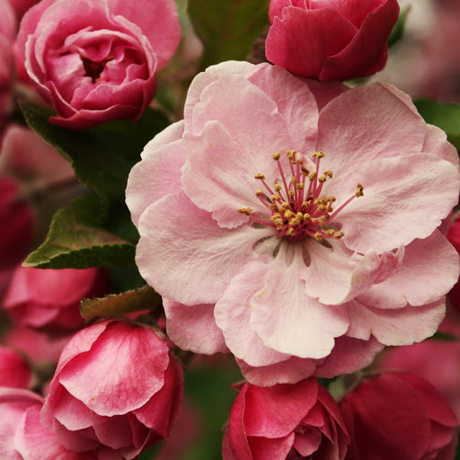 Hd-146543-ascw146543