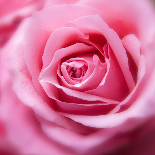 Hd-157107-ascw157107