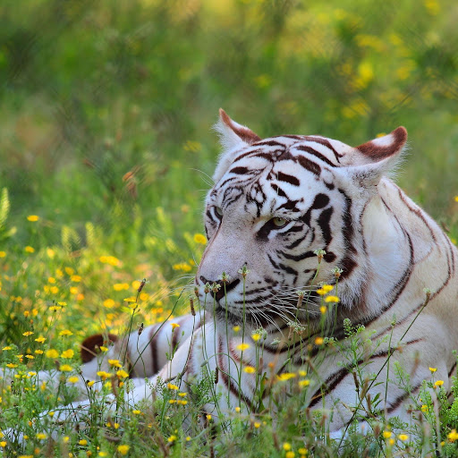 Hd-156028-ascw156028