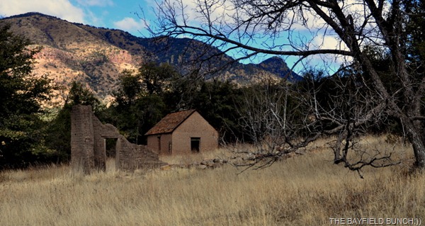 DSC_0019 DSC_0019