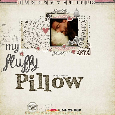 my-fluffly-pillow_web