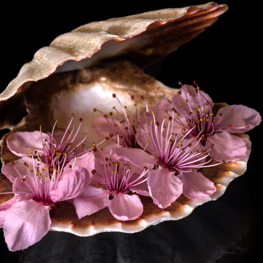 Hd-186362-ascw186362