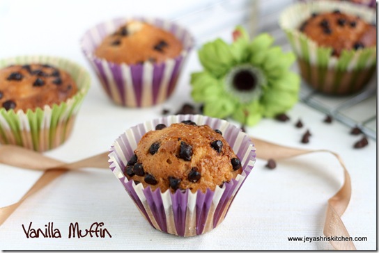 muffins