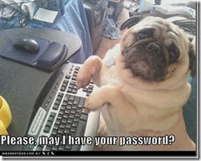 funny-dog-pictures-please-may-i-have-your-password_thumb[1]