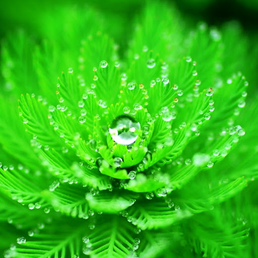 Hd-150393-ascw150393