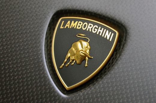 [lamborghini-sesto-elemento-concept-in-detail-48_carbon-logo%255B4%255D.jpg]