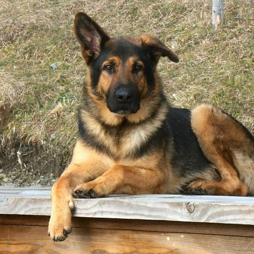 Hd-174834-ascw174834