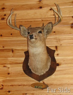 Deer Upstairs