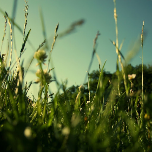 Hd-140065-ascw140065